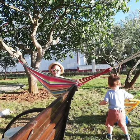 In Zaton Zaton (Zadar)