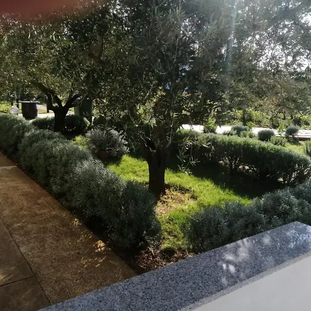 In Zaton * Zaton (Zadar)