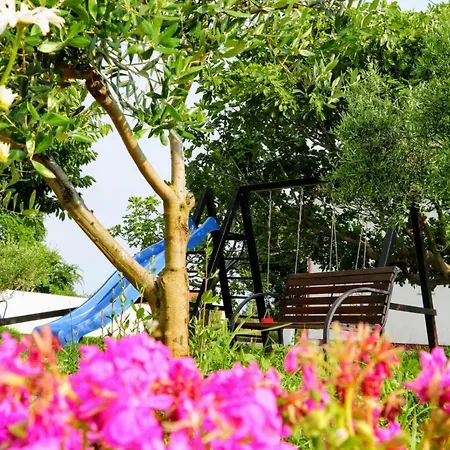 Apartment In Zaton Zaton (Zadar)